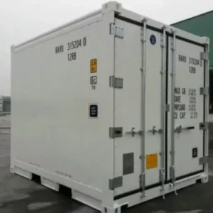 Container Refrigerato Compatto 3 Metri (10 Piedi) con Gruppo Frigo
